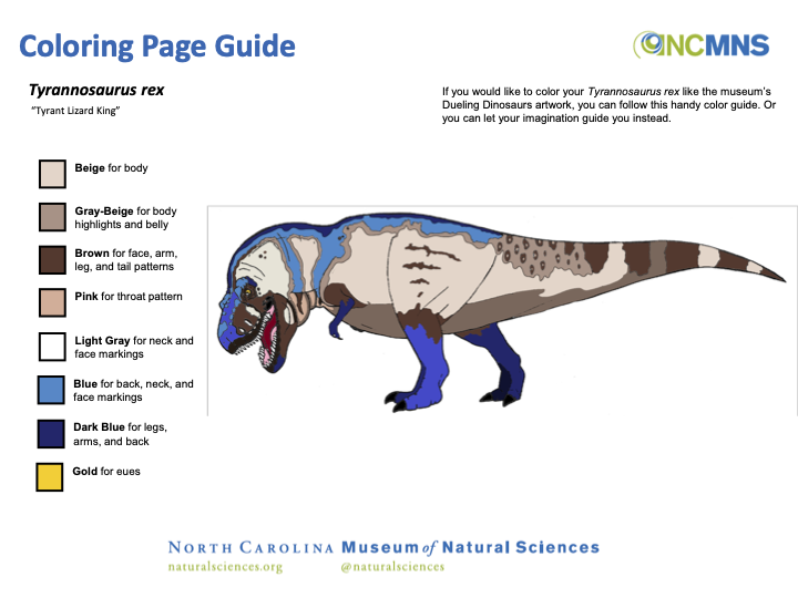 Coloring Guide for Tyrannosaurus rex resting