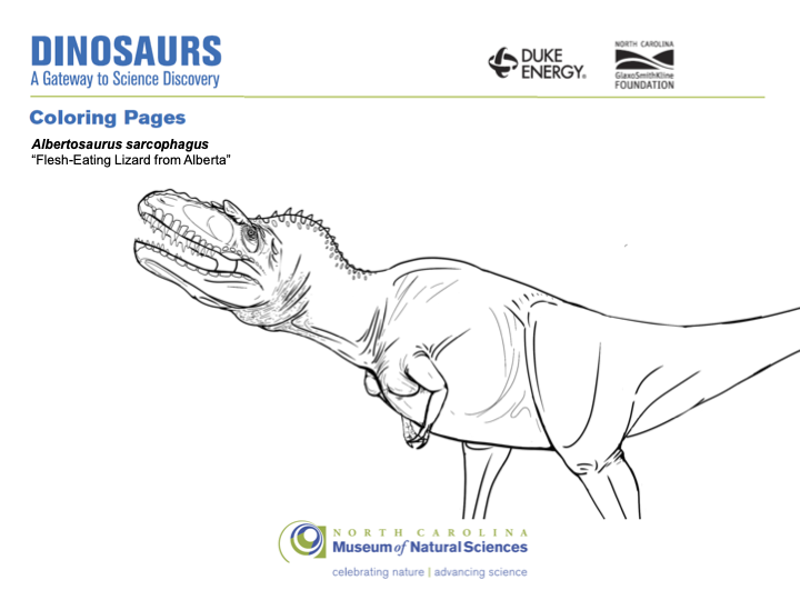 Coloring Page for Albertosaurus sarcophagus