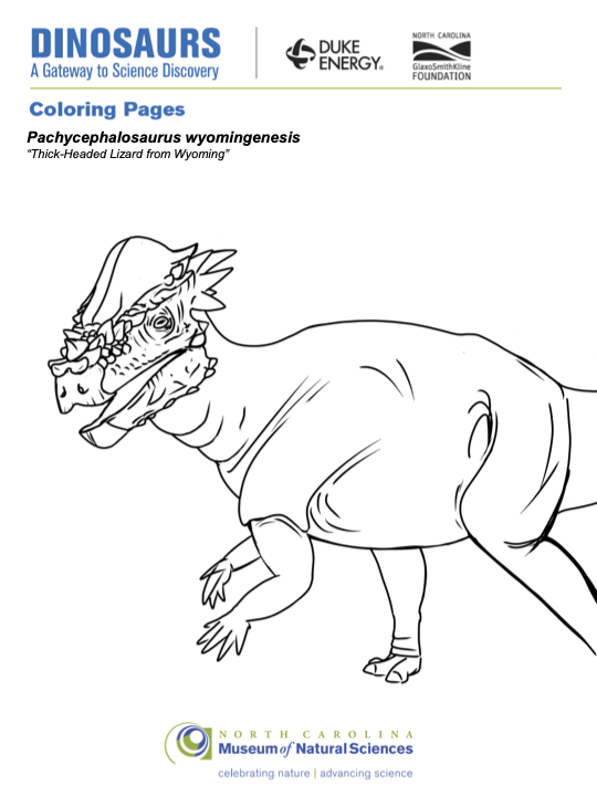 Coloring Page for Pachycephalosaurus wyomingenesis
