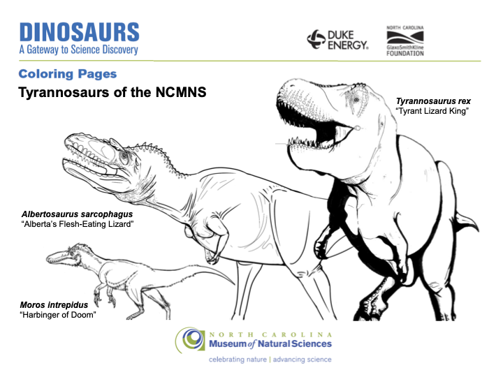 Coloring Page Tyrannosaurs of NCMNS