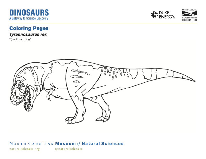 Coloring Page for Tyrannosaurs Rex