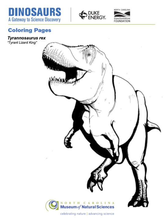 Coloring Page for Tyrannosaurus Rex in a charging stance