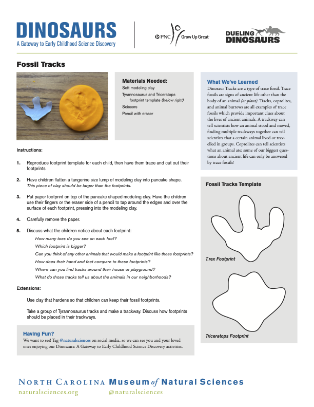 Instructions for making clay Fossil Tracks