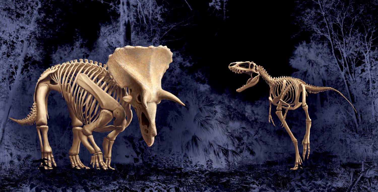 Rendering of two dinosaur skeletons on a dark background